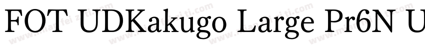 FOT UDKakugo Large Pr6N U字体转换